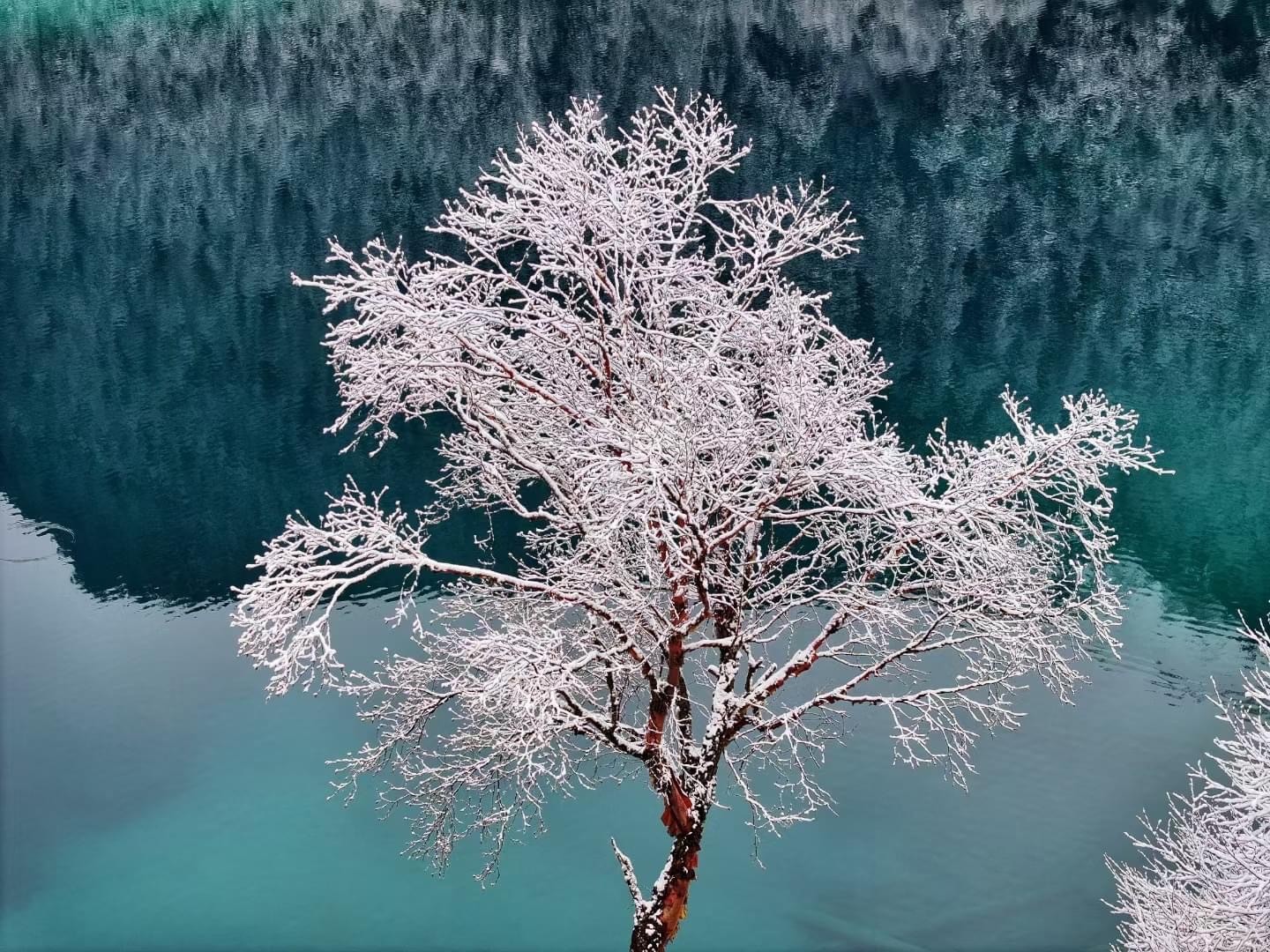 Jiuzhaigou