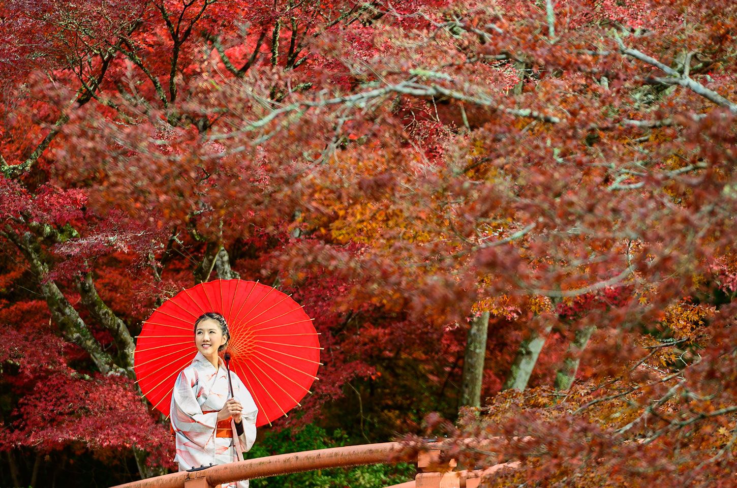 Japan Autumn Leaves Forecast