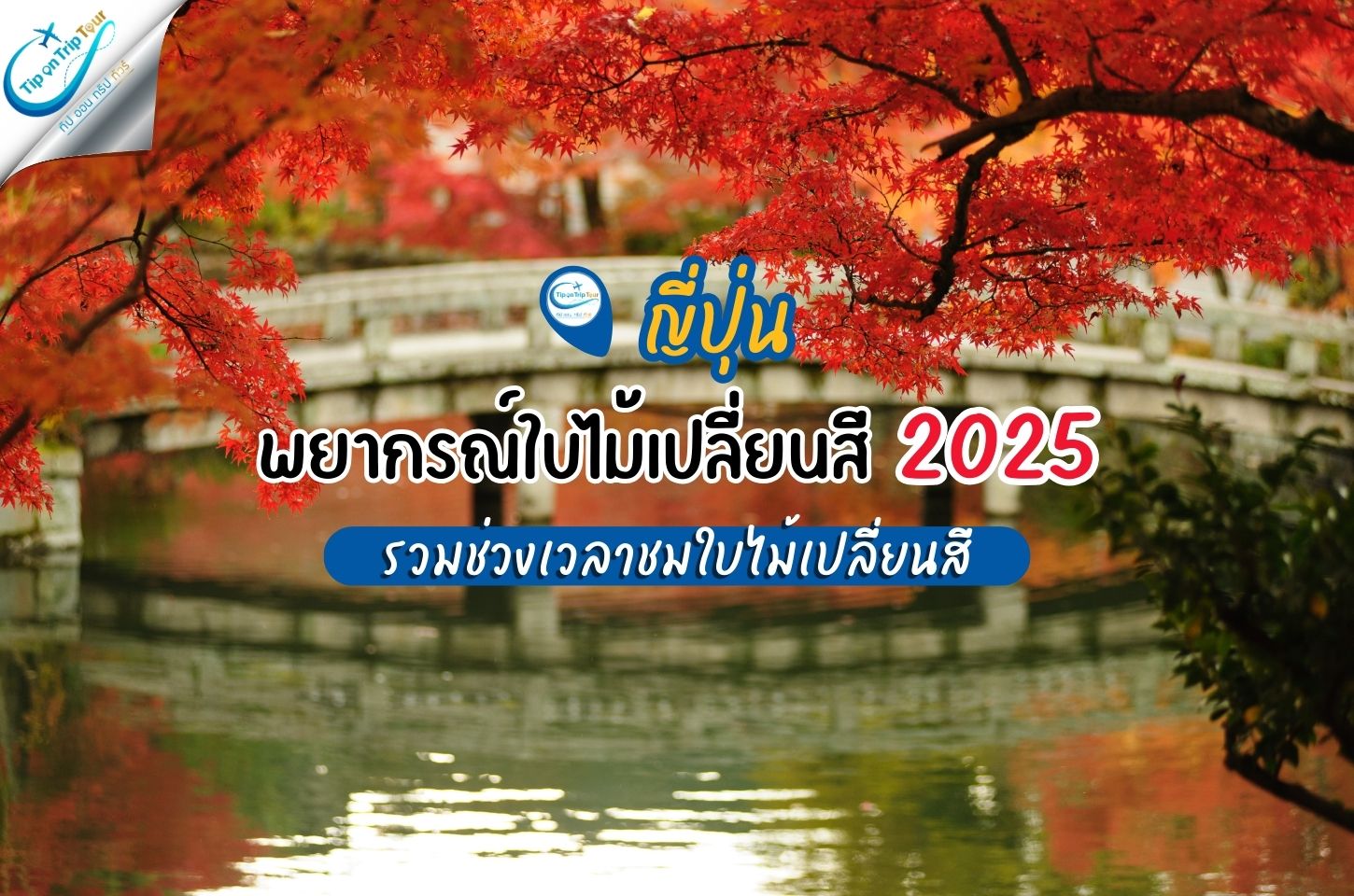 พยากรณ์ใบไม้เปลี่ยนสีญี่ปุ่น 2025