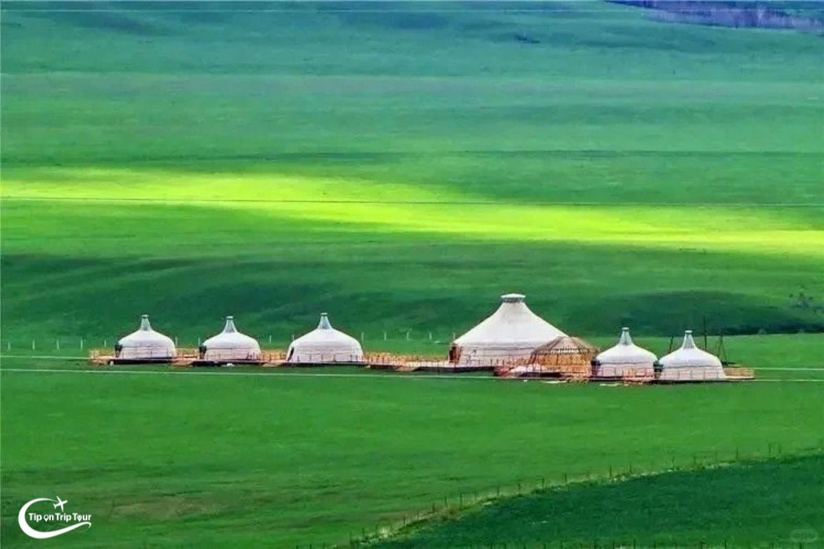 Ordos Grassland