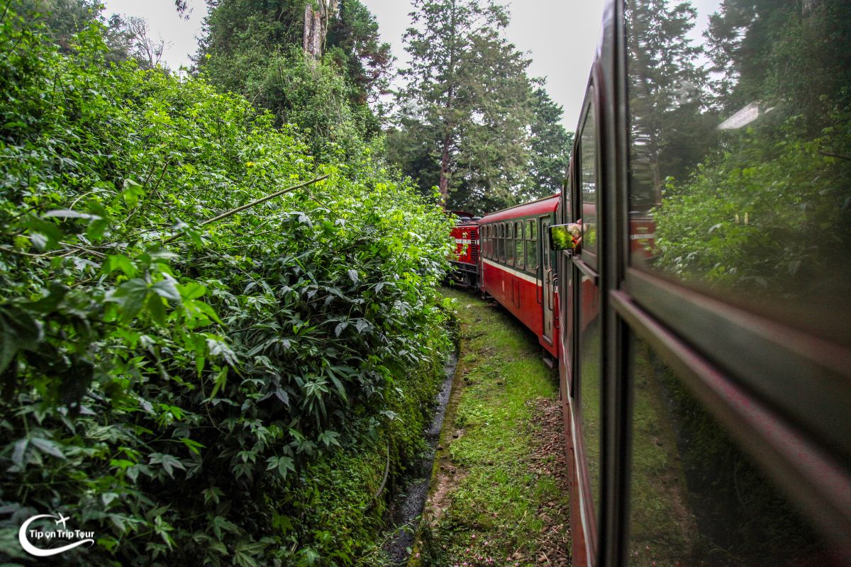 Alishan