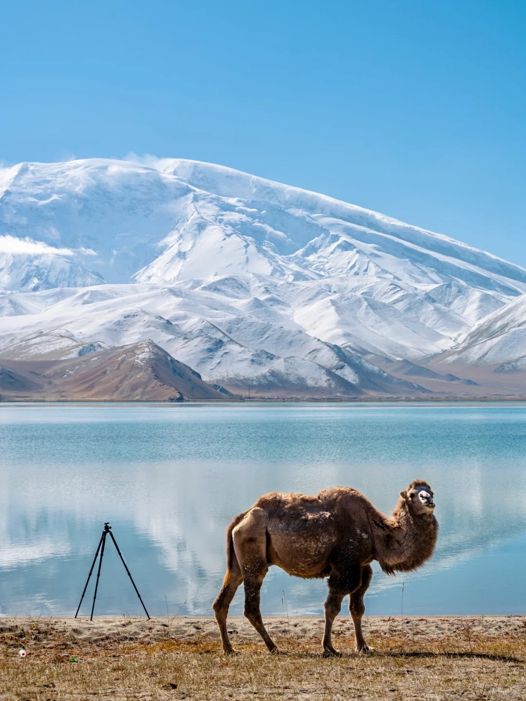 Baisha Lake