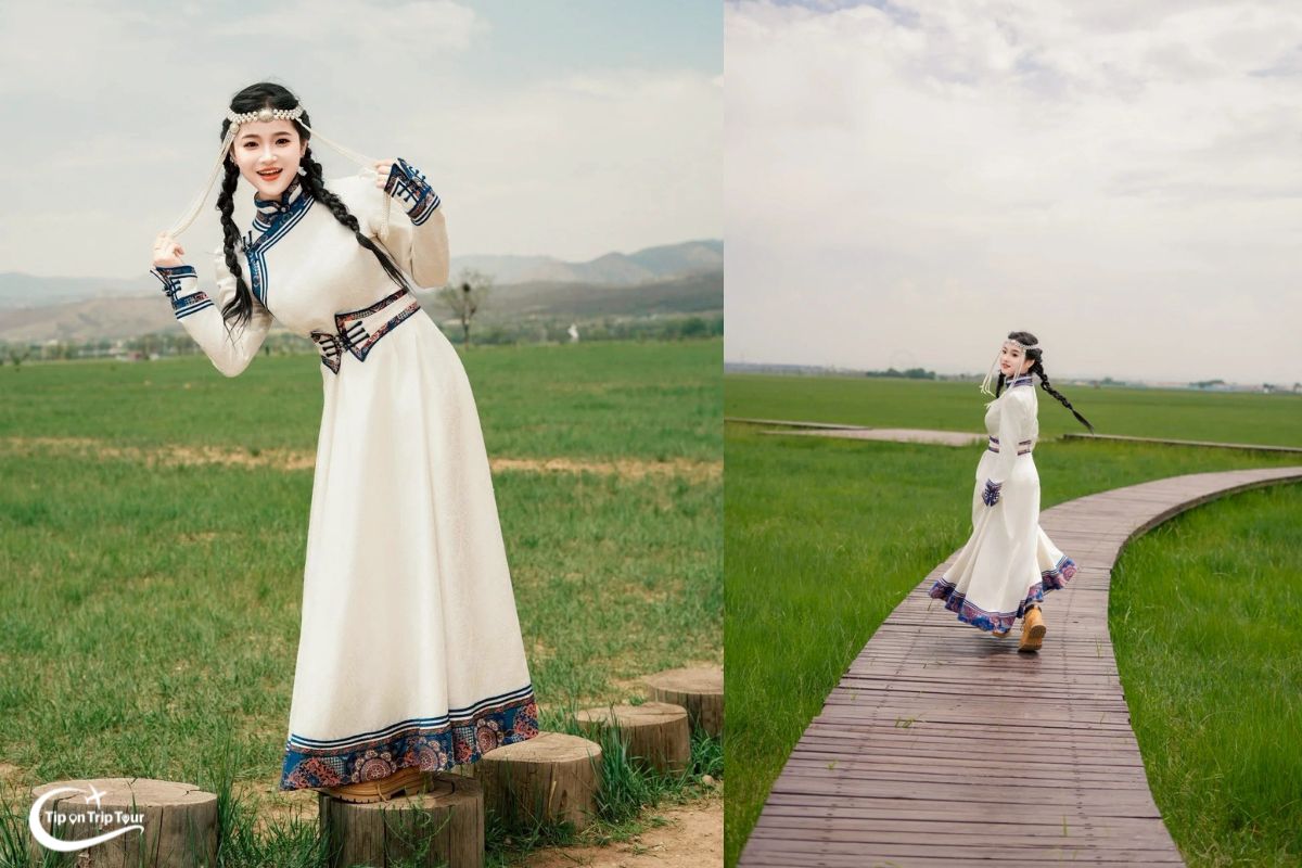 Ordos Grassland