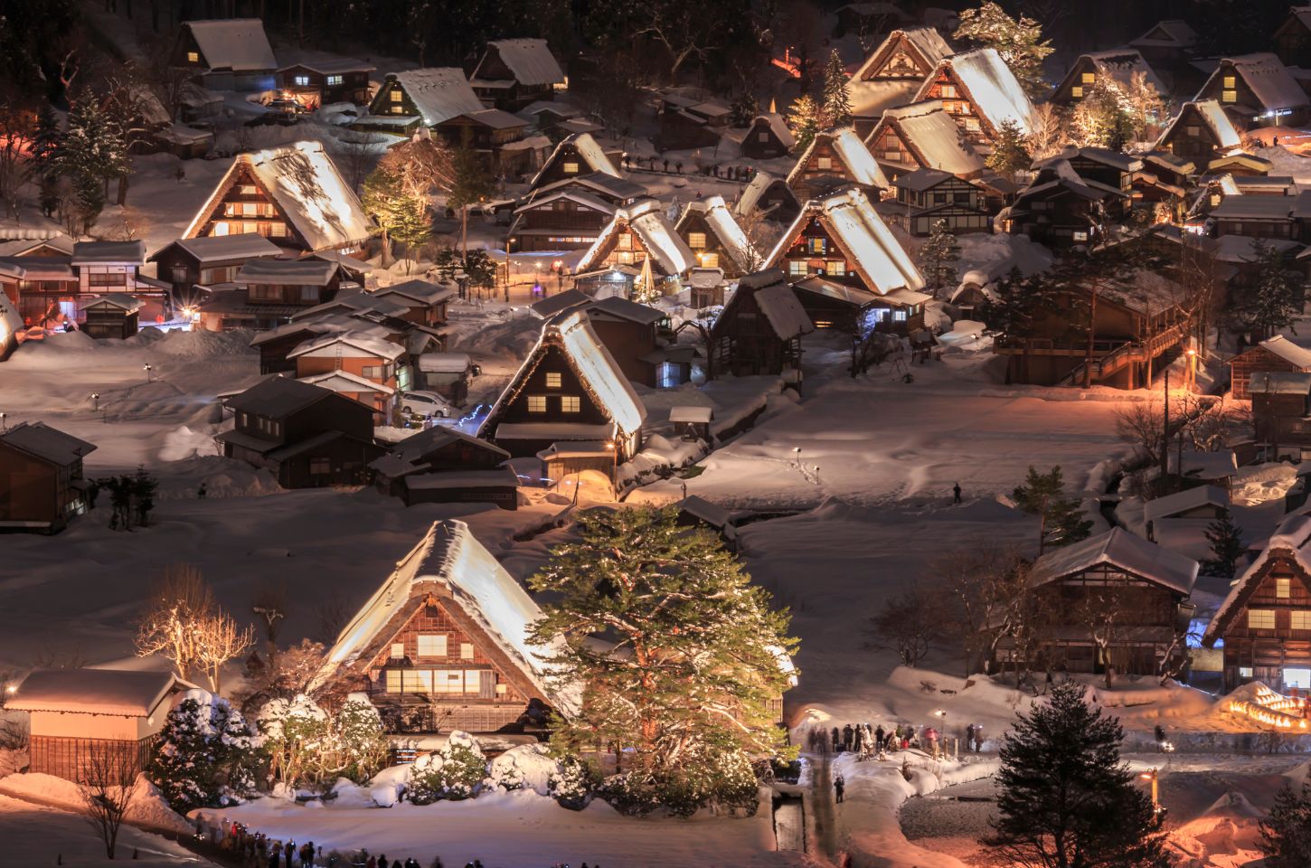 Shirakawa-go Light-Up