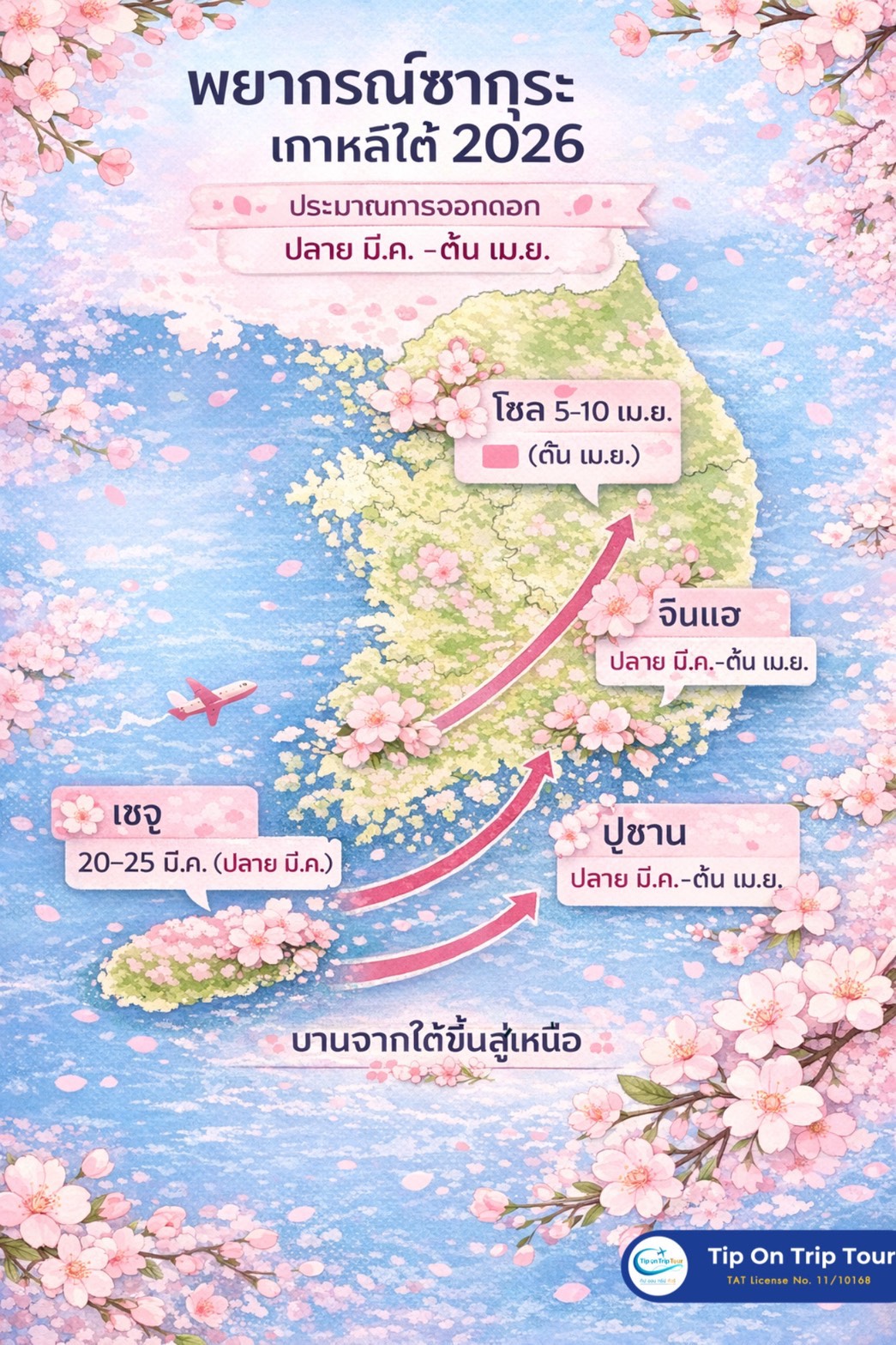 พยากรณซากุระเกาหลี 2026