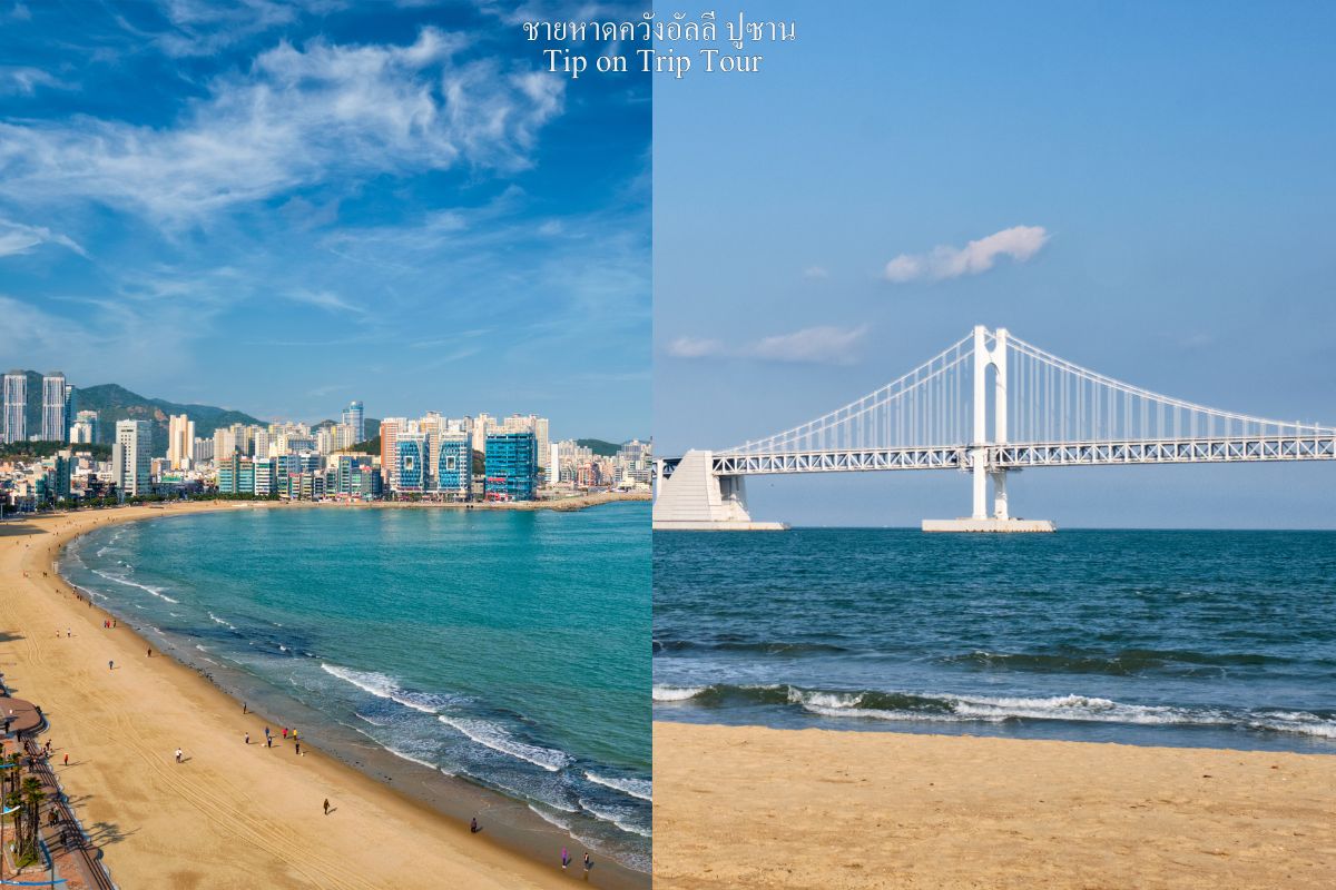 Gwangalli Beach