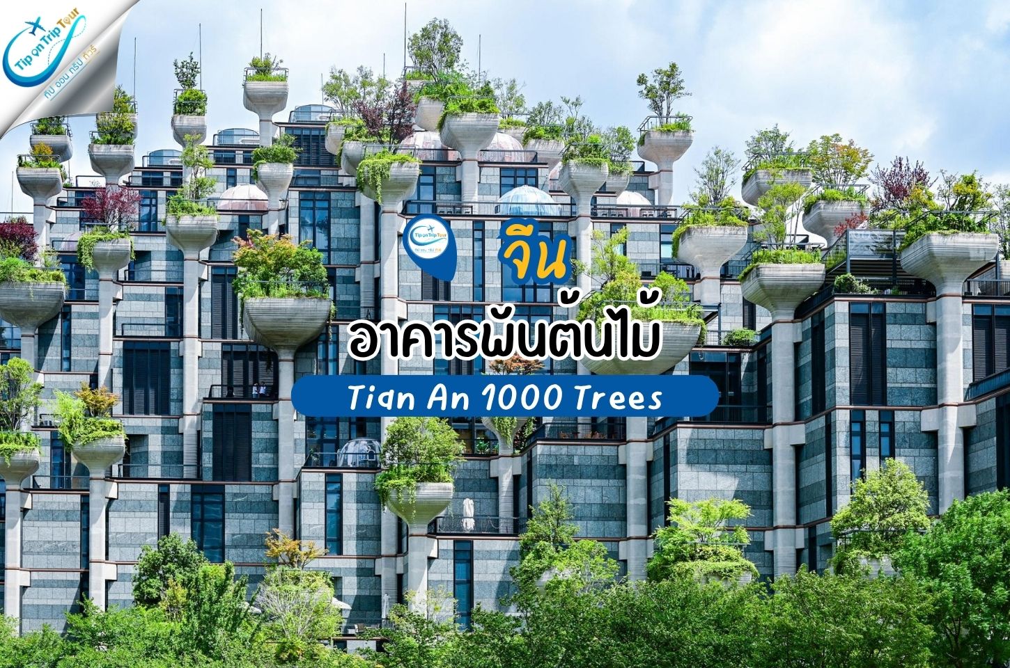 อาคารพันต้นไม้ เซี่ยงไฮ้ (Tian An 1000 Trees) แลนด์มาร์กสุดล้ำที่เหมือนภูเขาลอยกลางเมือง