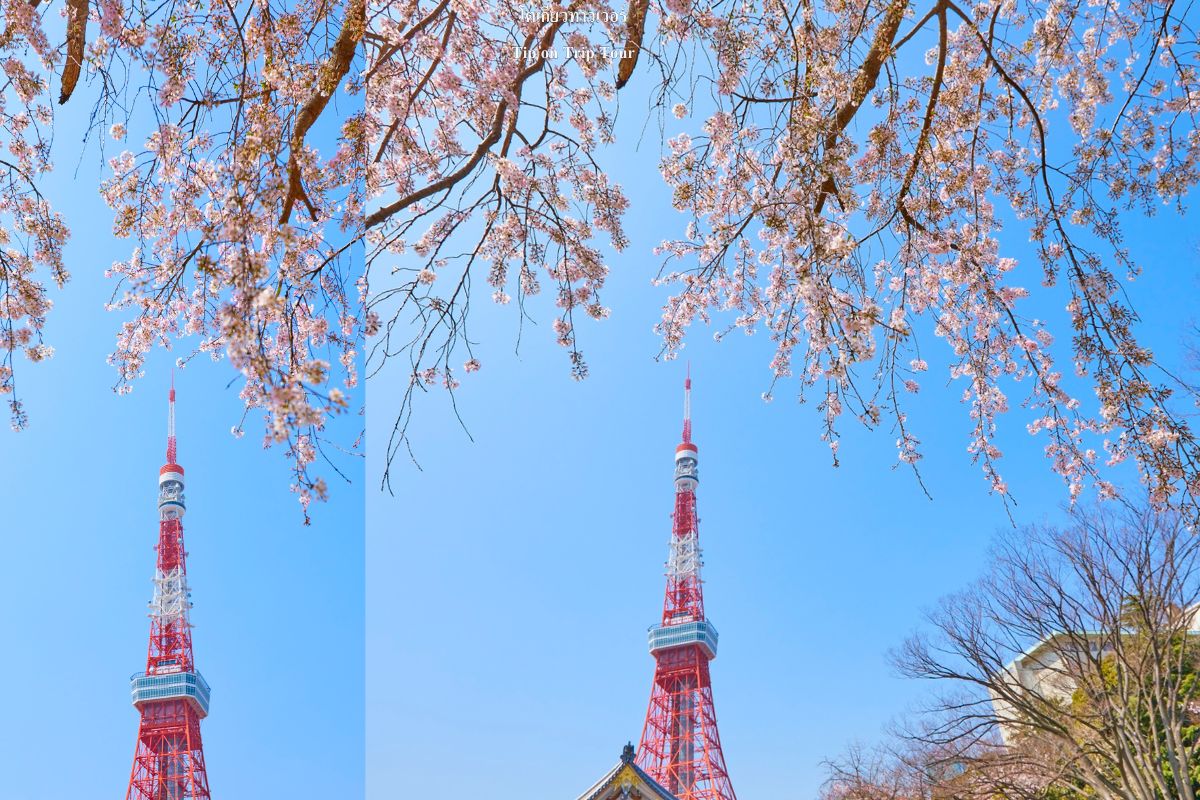 Tokyo Tower