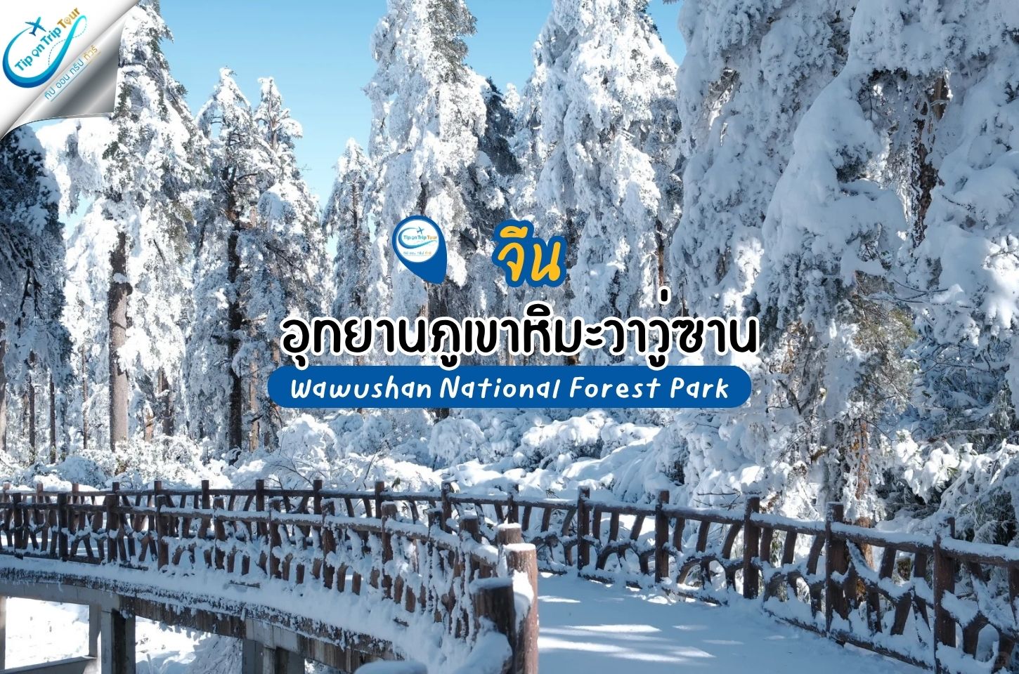 วาวู่ซาน Wawushan มหัศจรรย์ภูเขาโต๊ะ โลกแห่งป่า น้ำตก และหิมะแห่งเสฉวน