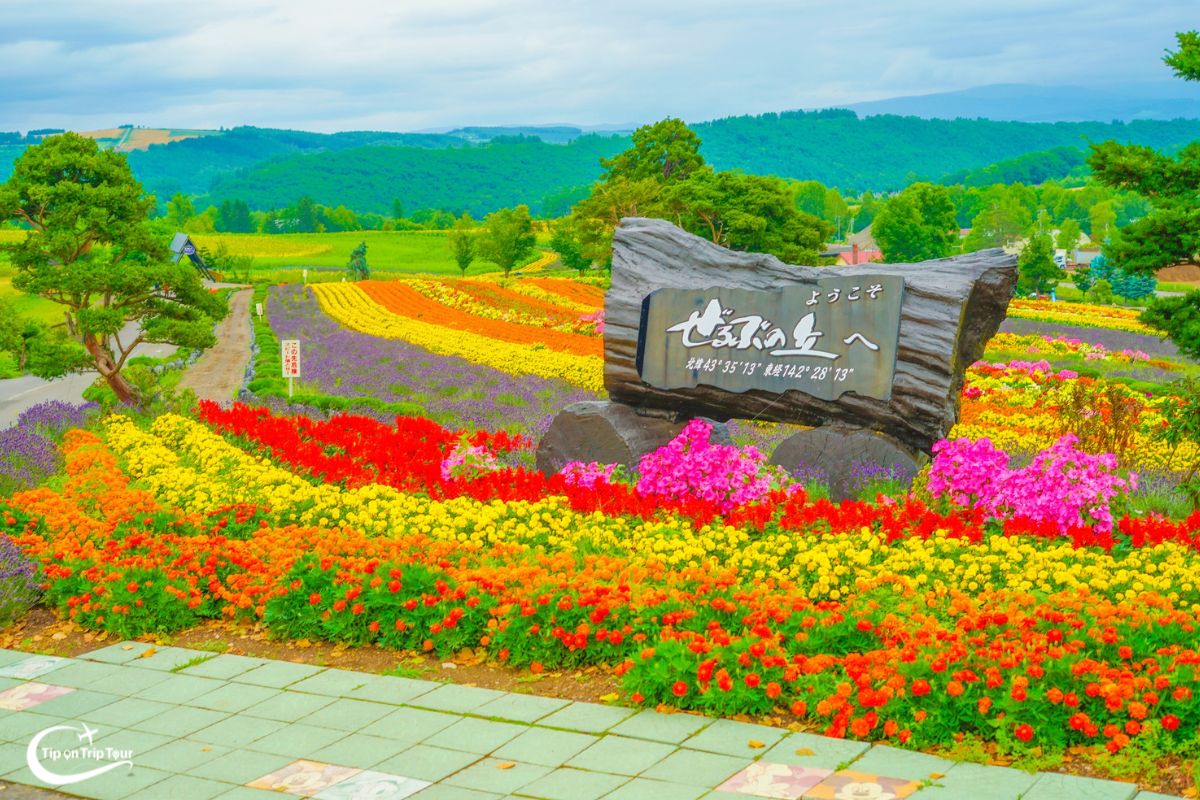 Shikisai no Oka