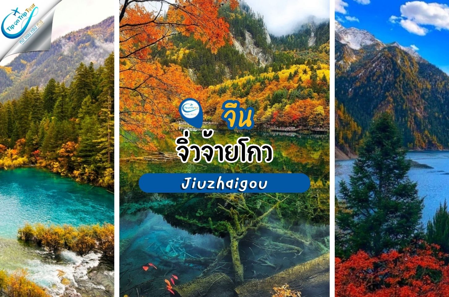 10 จุดไฮไลท์ เที่ยวจิ่วจ้ายโกว สวรรค์บนดินแห่งแดนมังกร ที่ต้องมาสักครั้งในชีวิต!
