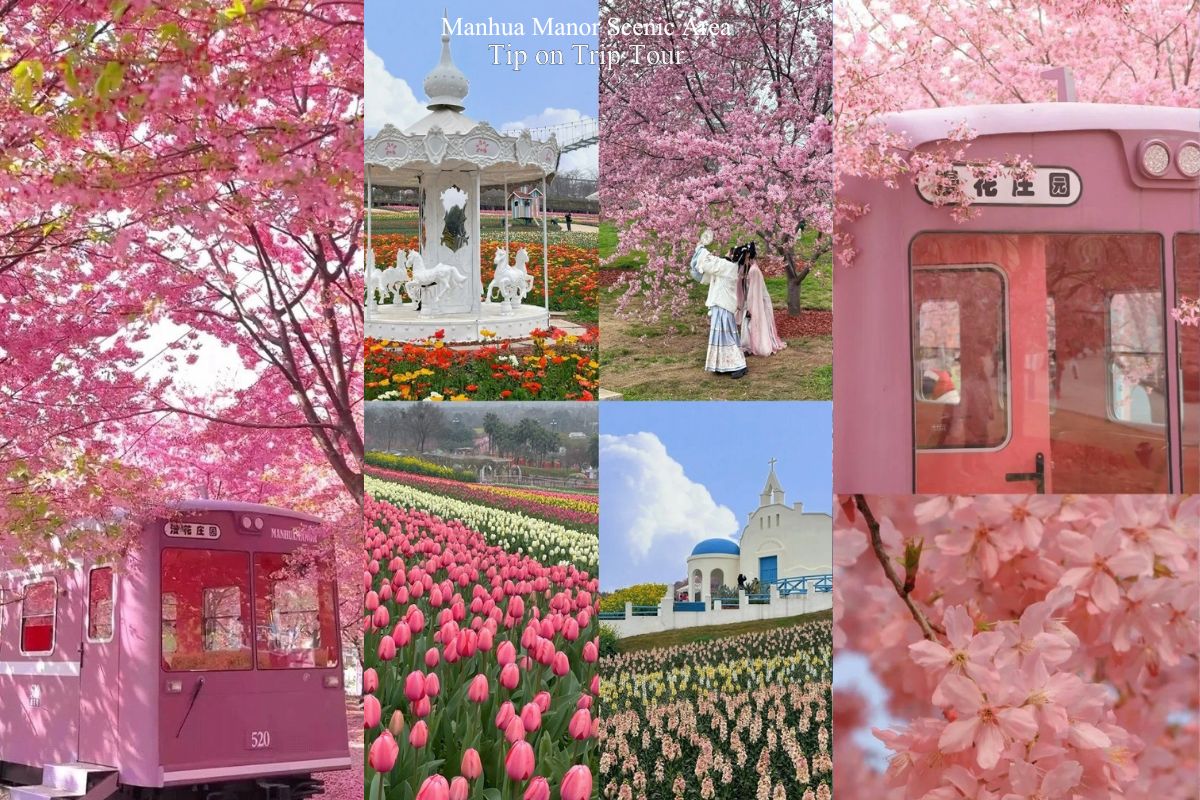 Manhua Manor Scenic Area