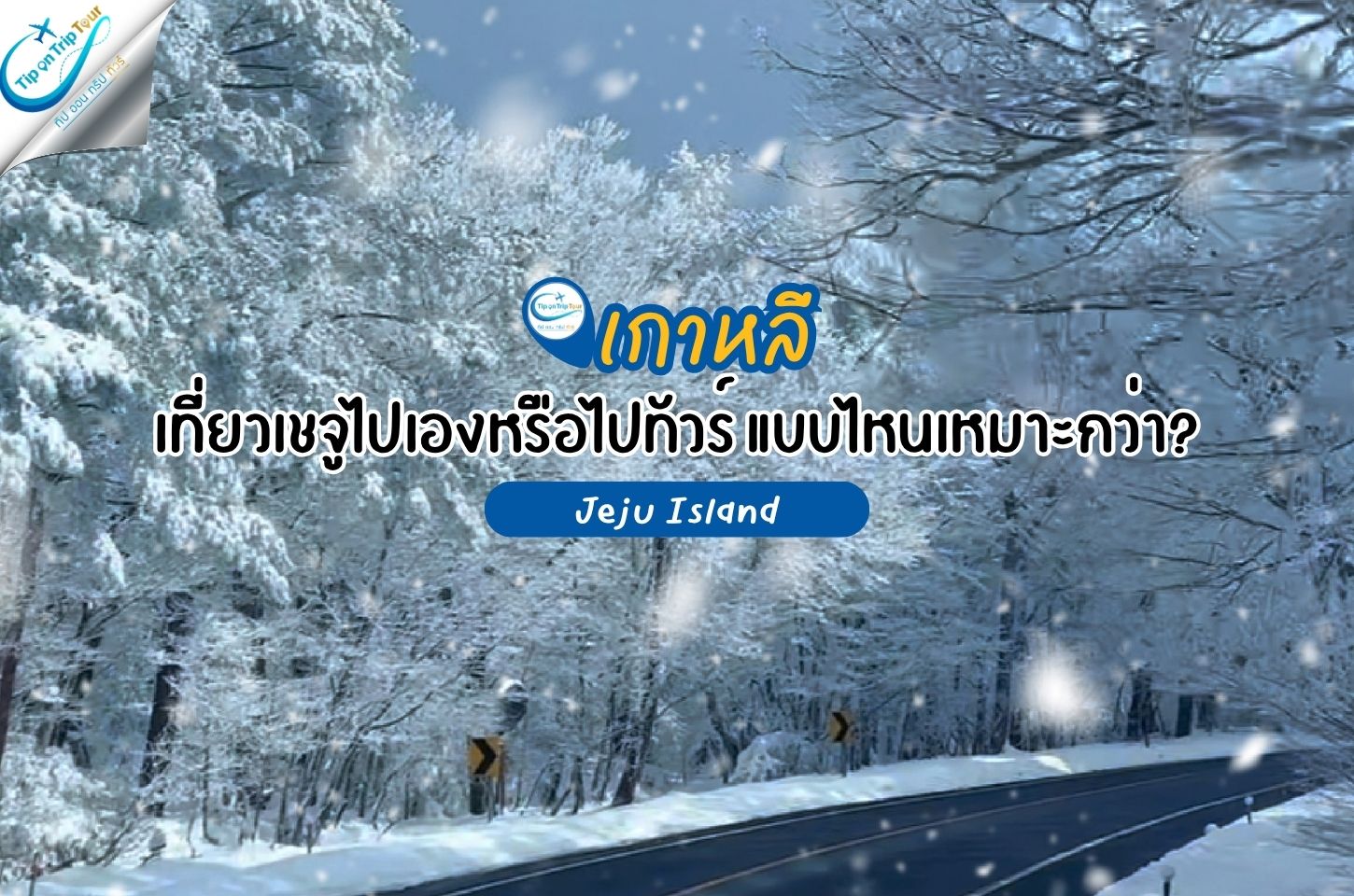 เที่ยวเชจูไปเองหรือไปทัวร์ แบบไหนเหมาะกว่า?