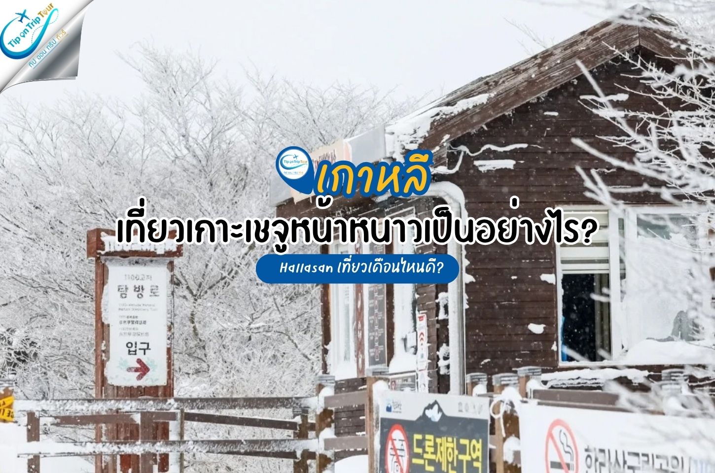 เที่ยวเกาะเชจูหน้าหนาวเป็นอย่างไร?