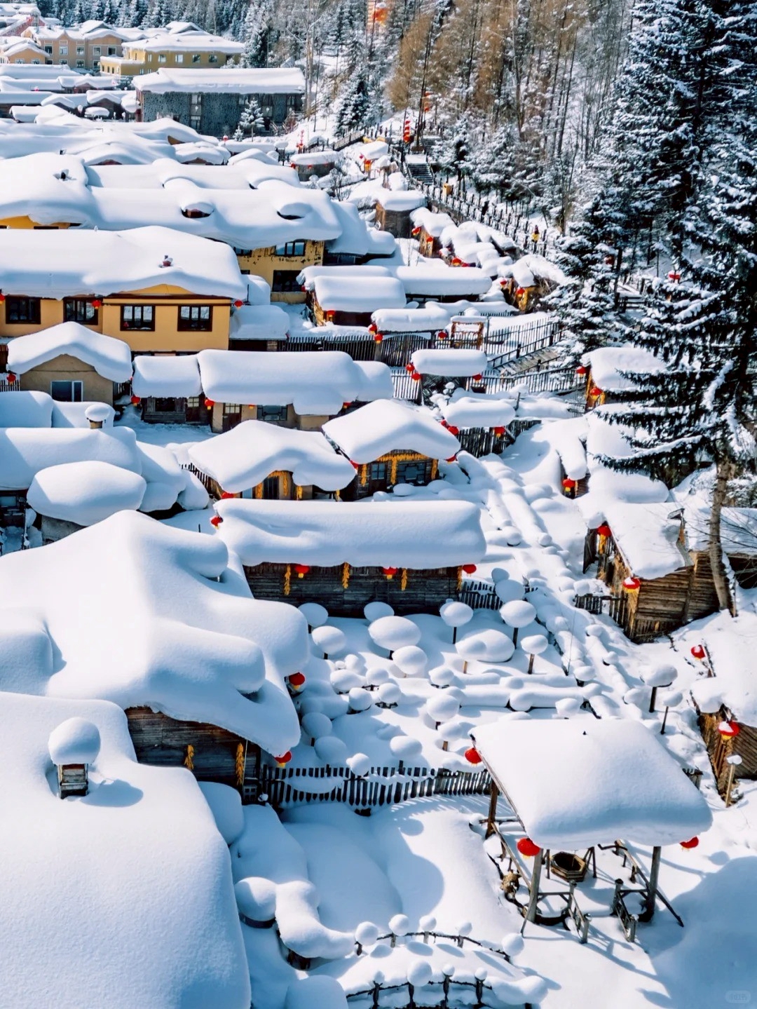 Harbin Snow Town