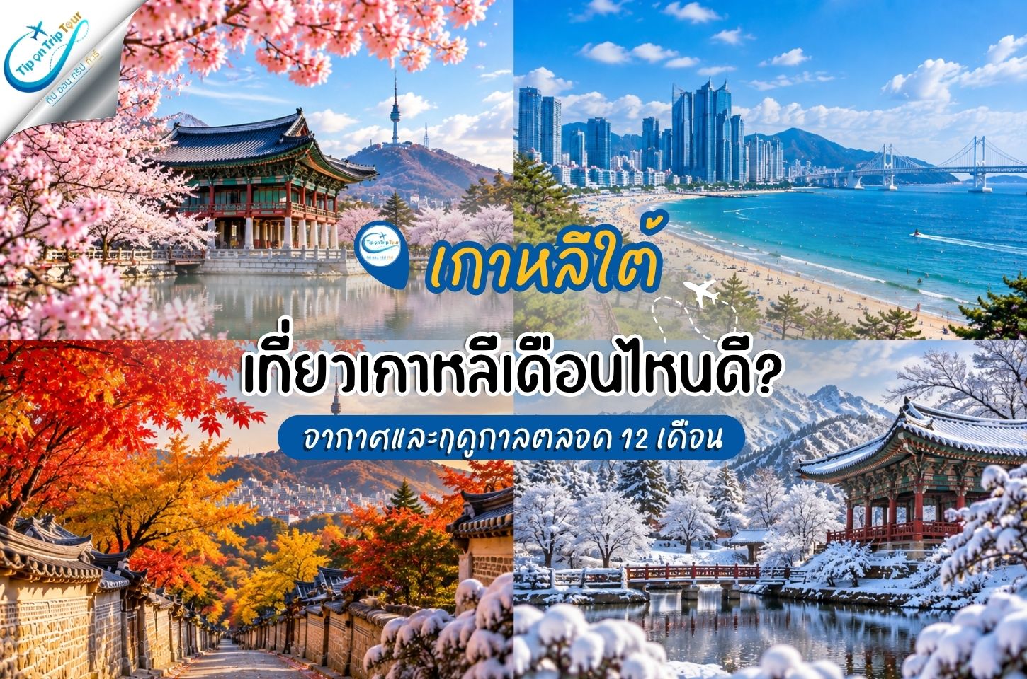 เที่ยวเกาหลีเดือนไหนดี? อากาศและฤดูกาลเกาหลีตลอด 12 เดือน