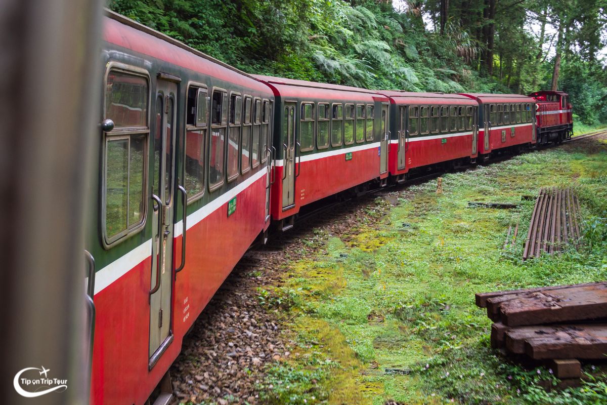 Alishan