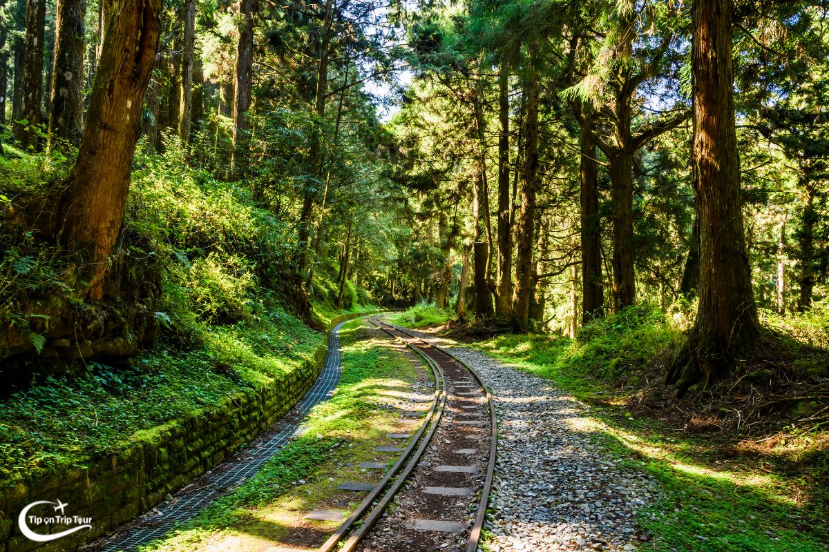 Alishan