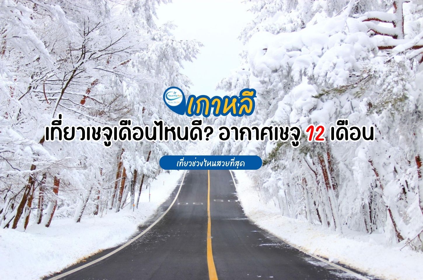 เที่ยวเชจูเดือนไหนดี? อากาศเชจู 12 เดือน เที่ยวช่วงไหนสวยที่สุด