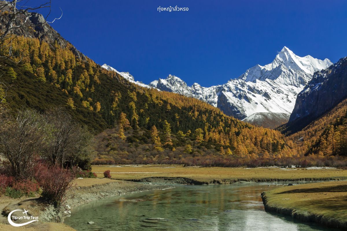 Yading Nature Reserve
