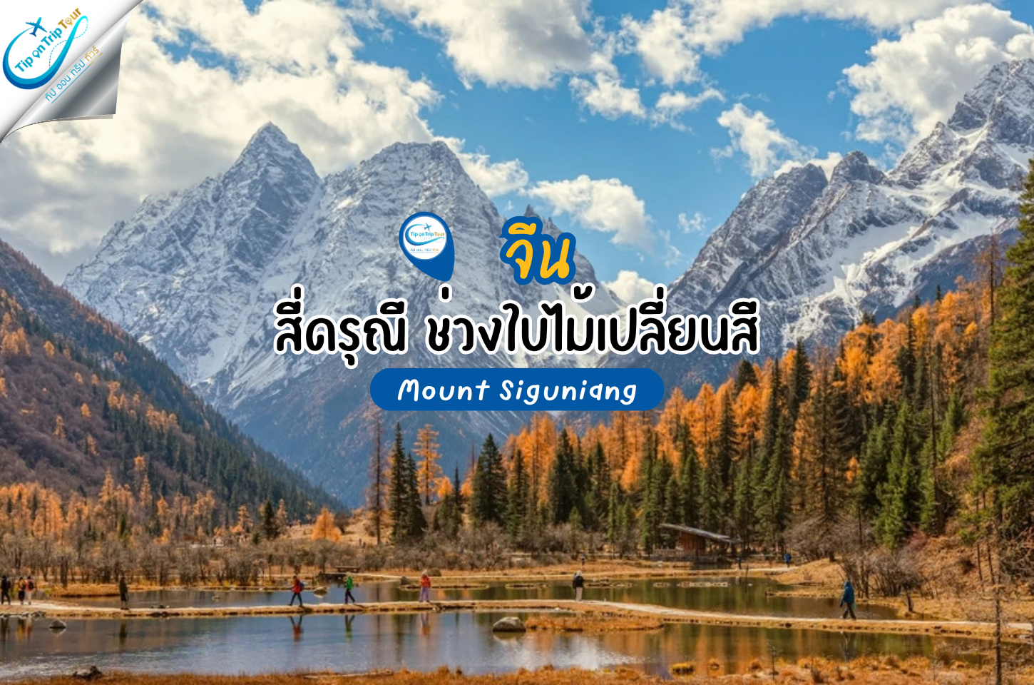 ภูเขาสี่ดรุณีช่วงใบไม้เปลี่ยนสี ชมป่าสีทองโอบล้อมภูเขาหิมะแห่งเสฉวน