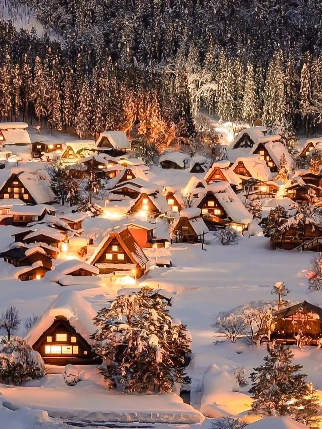 Shirakawago Light Up 2026