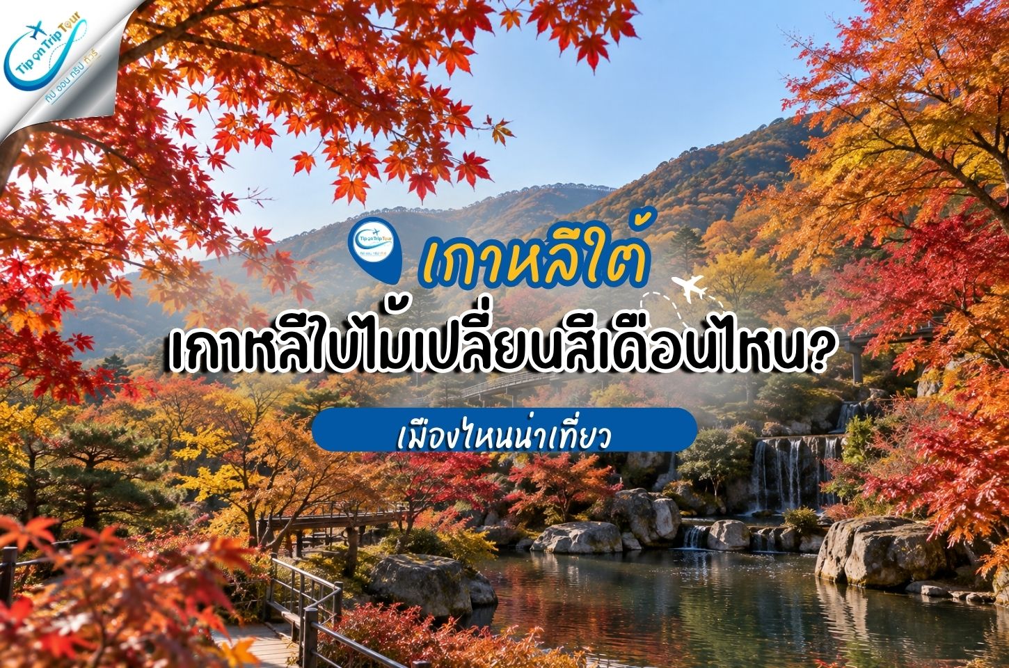 เกาหลีใบไม้เปลี่ยนสีเดือนไหน? เมืองไหนน่าเที่ยว รวมจุดชมใบไม้แดงเกาหลี