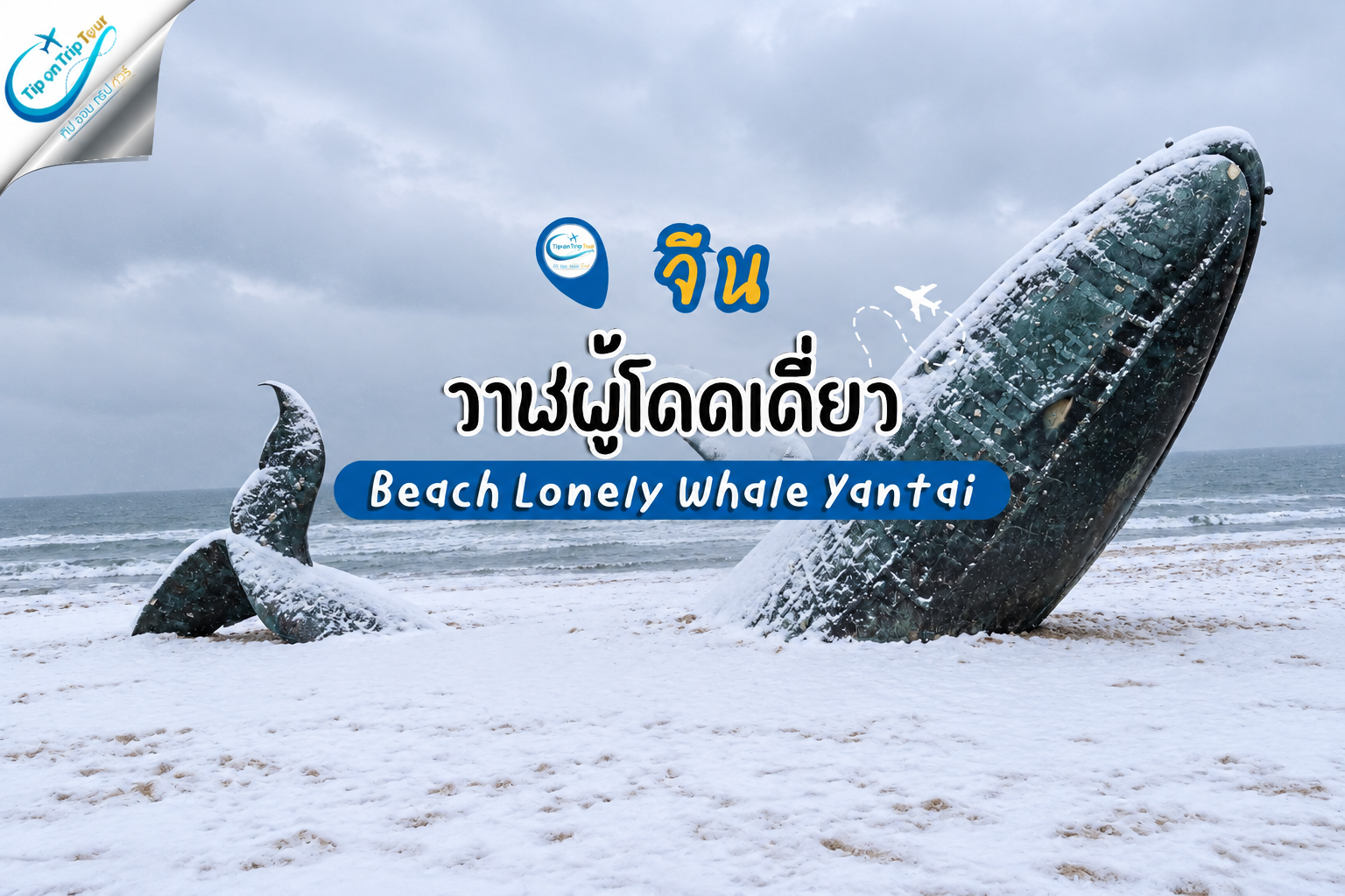 ประติมากรรมวาฬผู้โดดเดี่ยว Beach Lonely Whale Yantai แลนด์มาร์กริมทะเลเยียนไถ