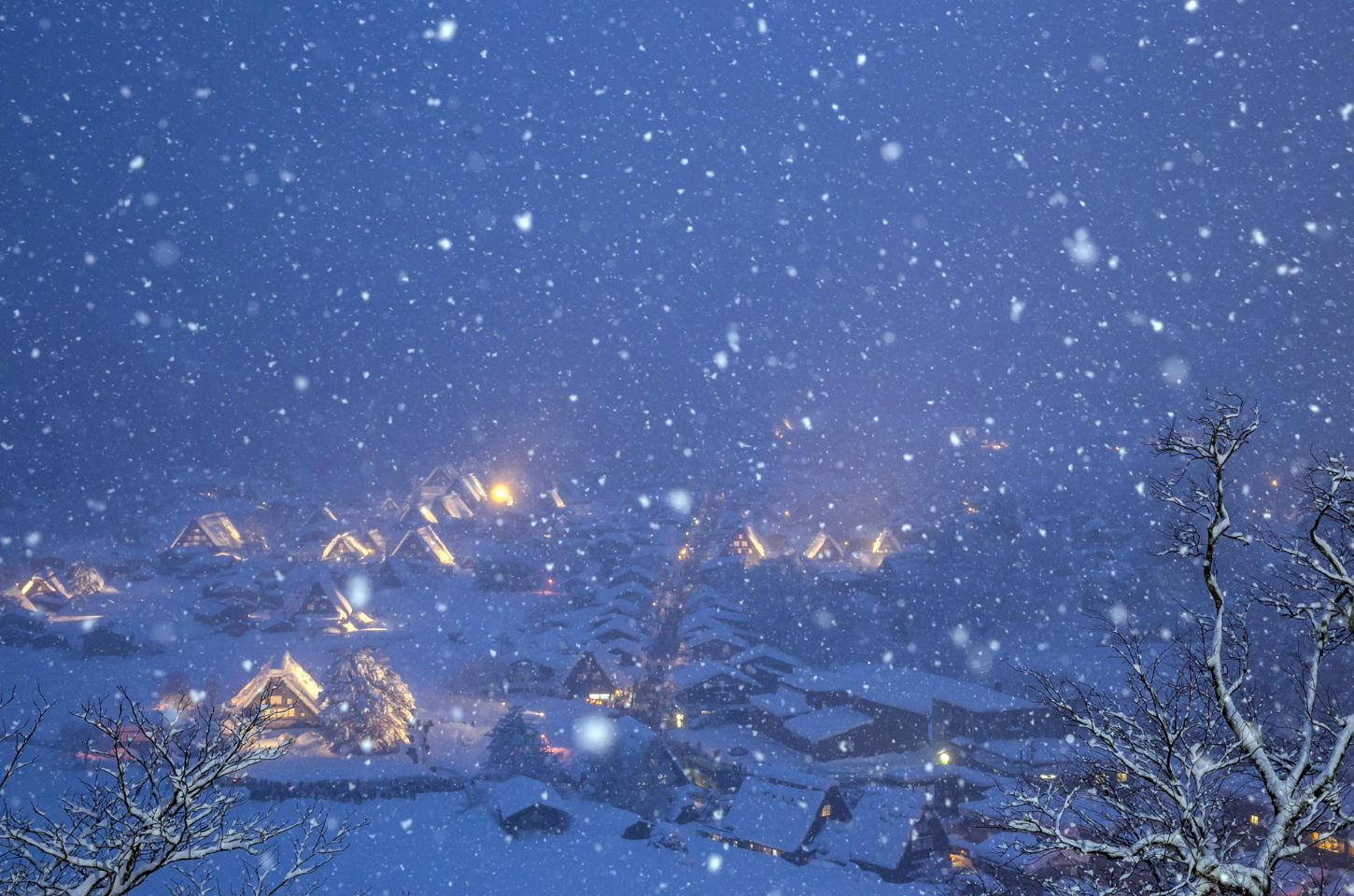 Shirakawa-go Light-Up