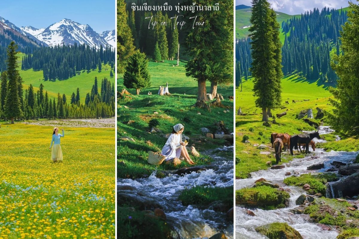 Narati Grassland
