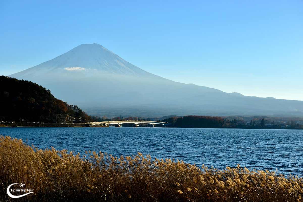 Lake Kawaguchiko