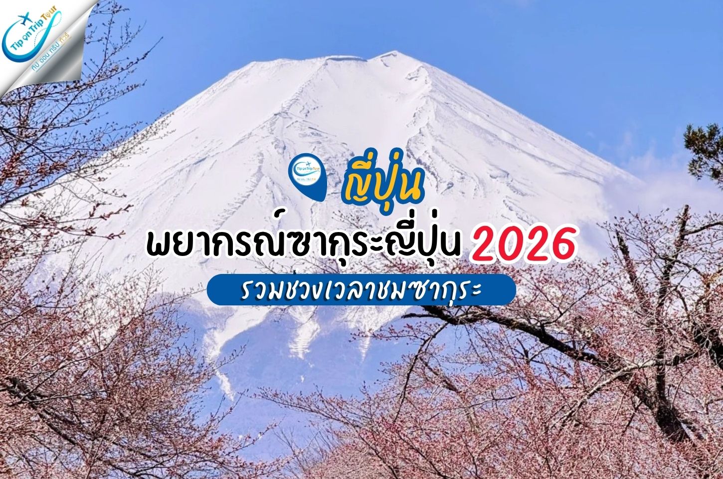 พยากรณ์ซากุระญี่ปุ่น