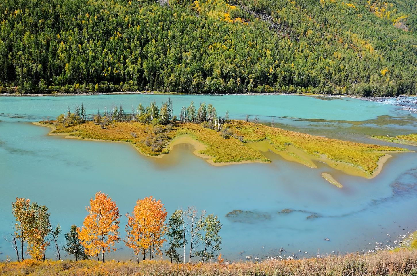 Kanas Nature Reserve