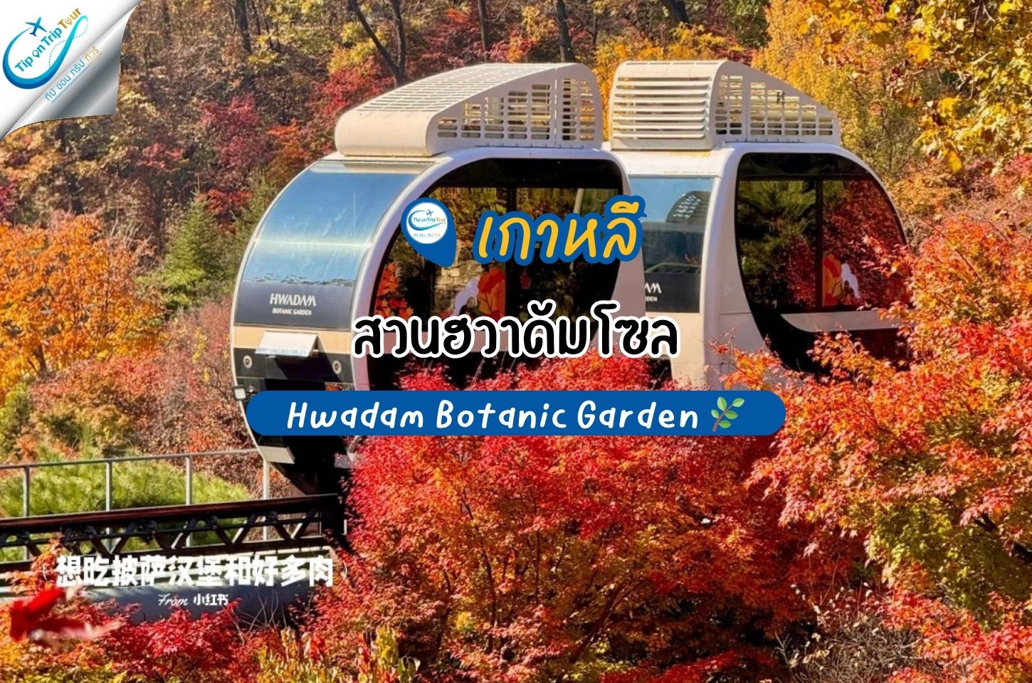 สวนฮวาดัม โซล กับฤดูใบไม้เปลี่ยนสีสุดโรแมนติก