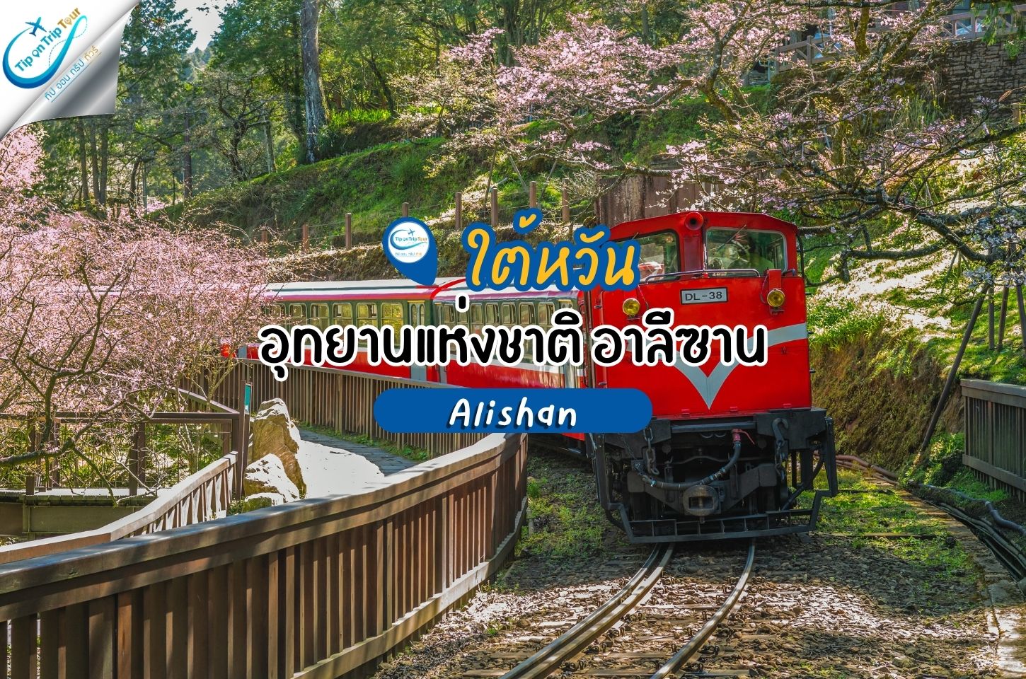 สถานที่ท่องเที่ยวไต้หวัน อุทยานแห่งชาติ อาลีซาน Alishan