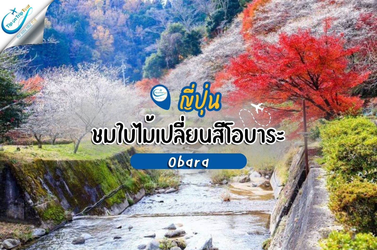 ชมใบไม้เปลี่ยนสีโอบาระ (Obara) ญี่ปุ่น จุดชมซากุระฤดูใบไม้ร่วงและใบเมเปิลแดงที่สวยที่สุด