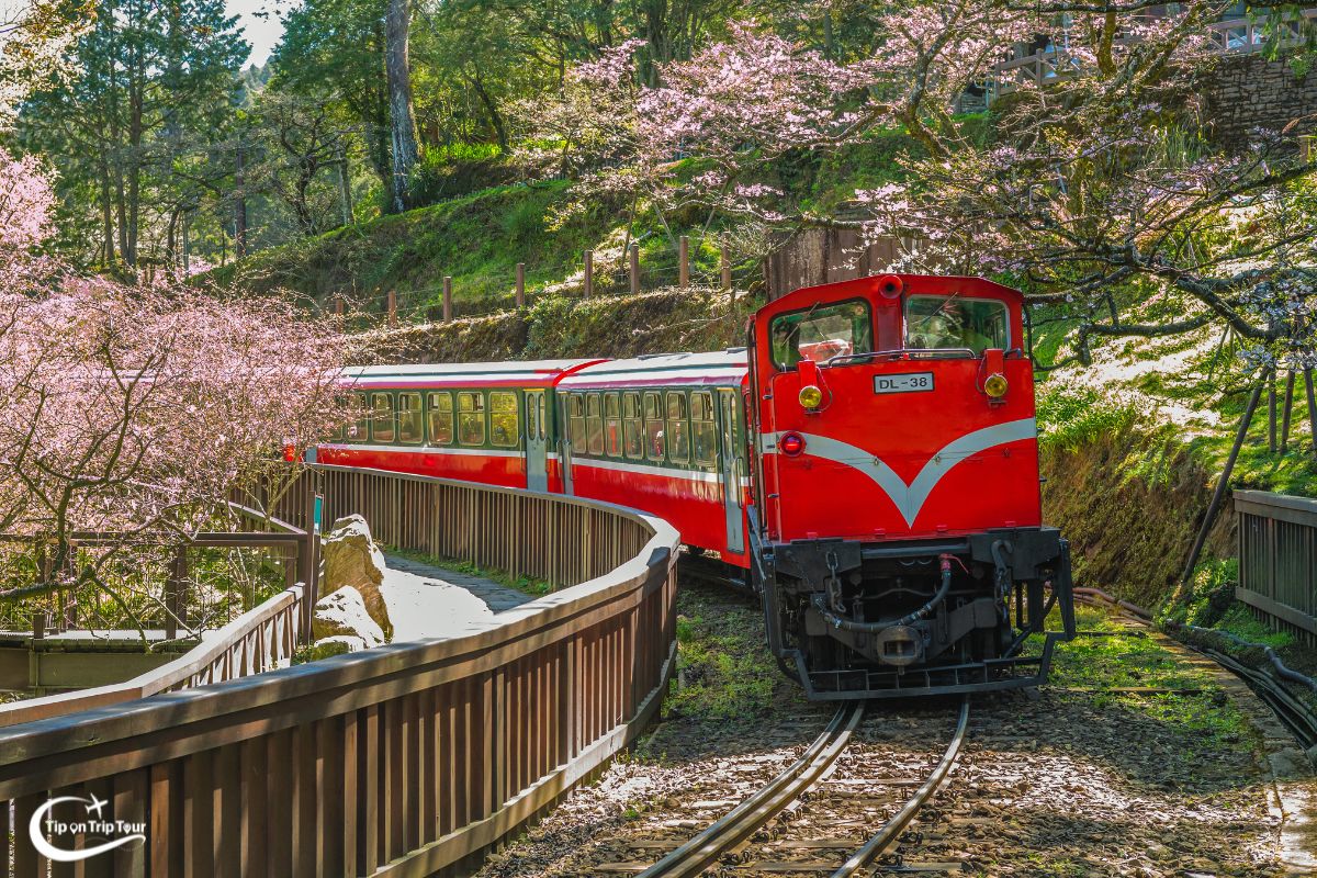 Alishan