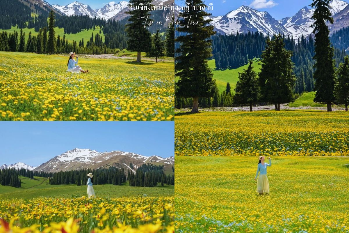 Narati Grassland