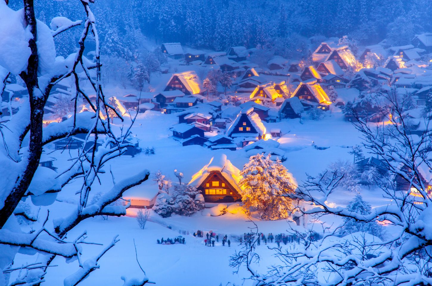 Shirakawa-go Light-Up