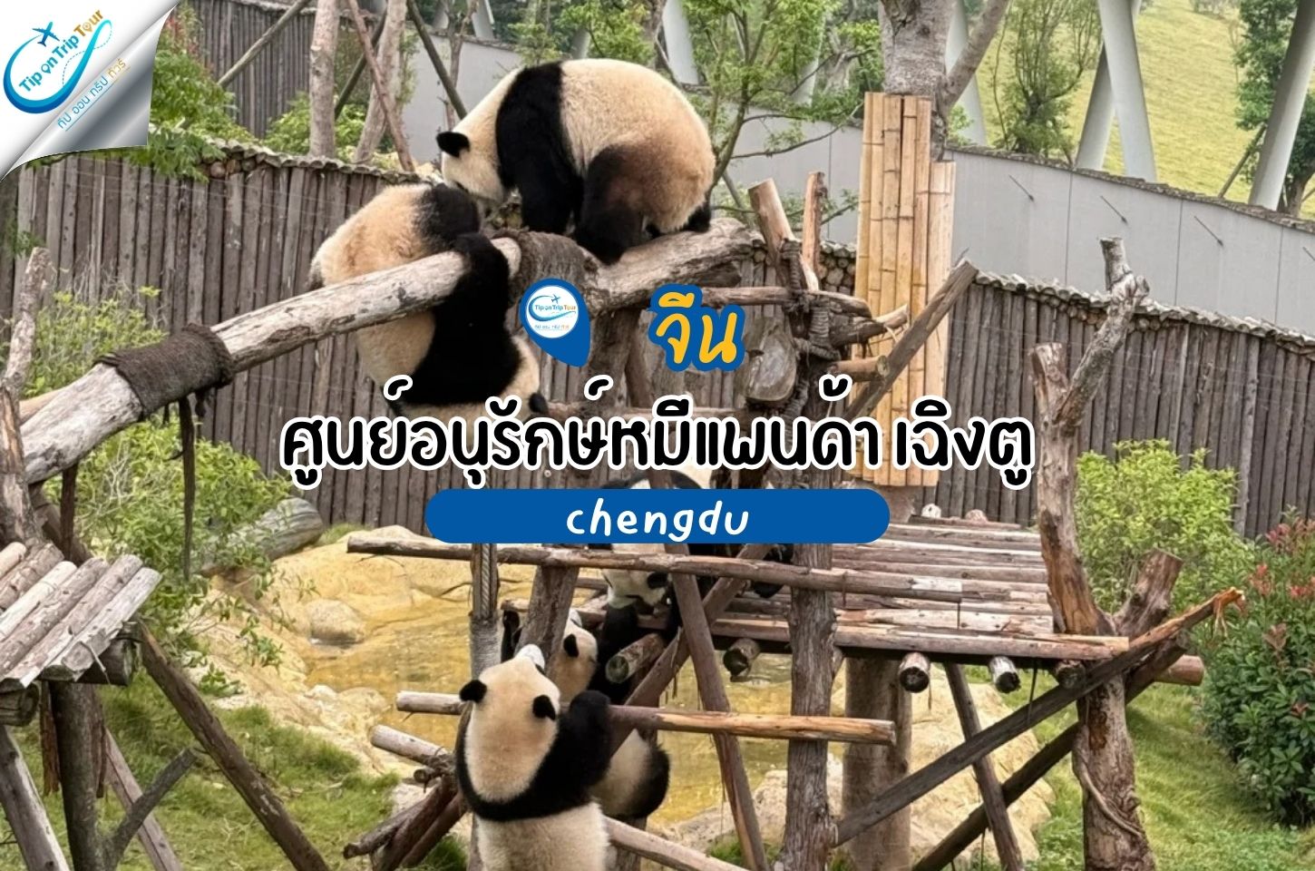 ศูนย์อนุรักษ์พันธุ์หมีแพนด้า เฉิงตู