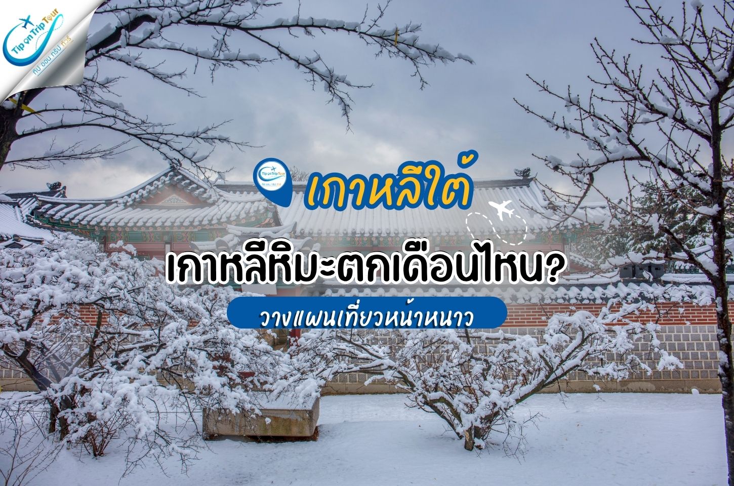 เกาหลีหิมะตกเดือนไหน? เที่ยวหน้าหนาว โซล เชจู ปูซาน เกาะนามิ เล่นสกี และตกปลาน้ำแข็ง
