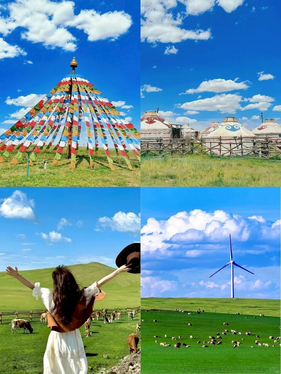 Ordos Grassland