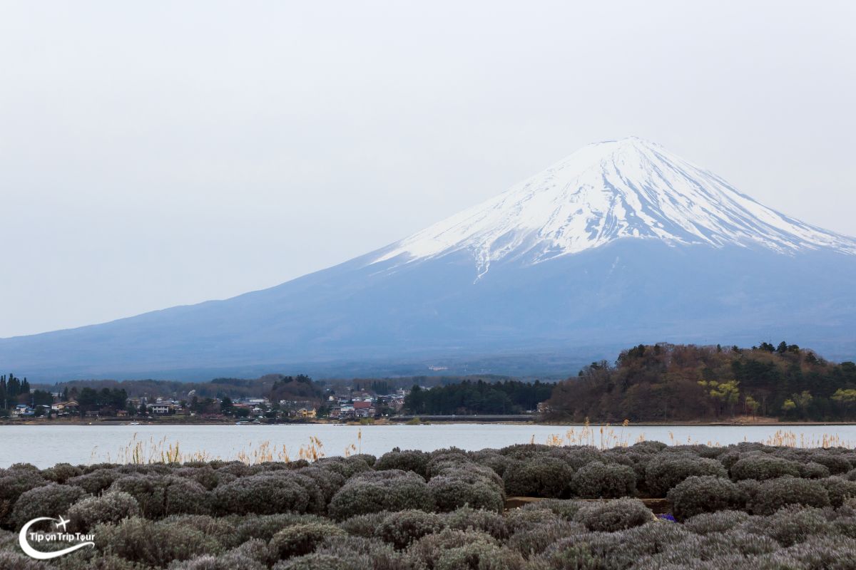 Lake Kawaguchiko