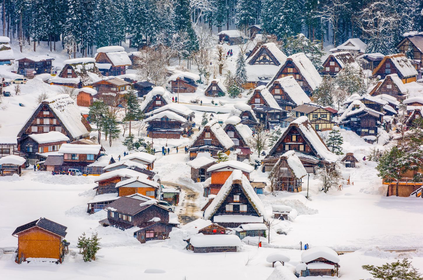 Shirakawa-go Light-Up