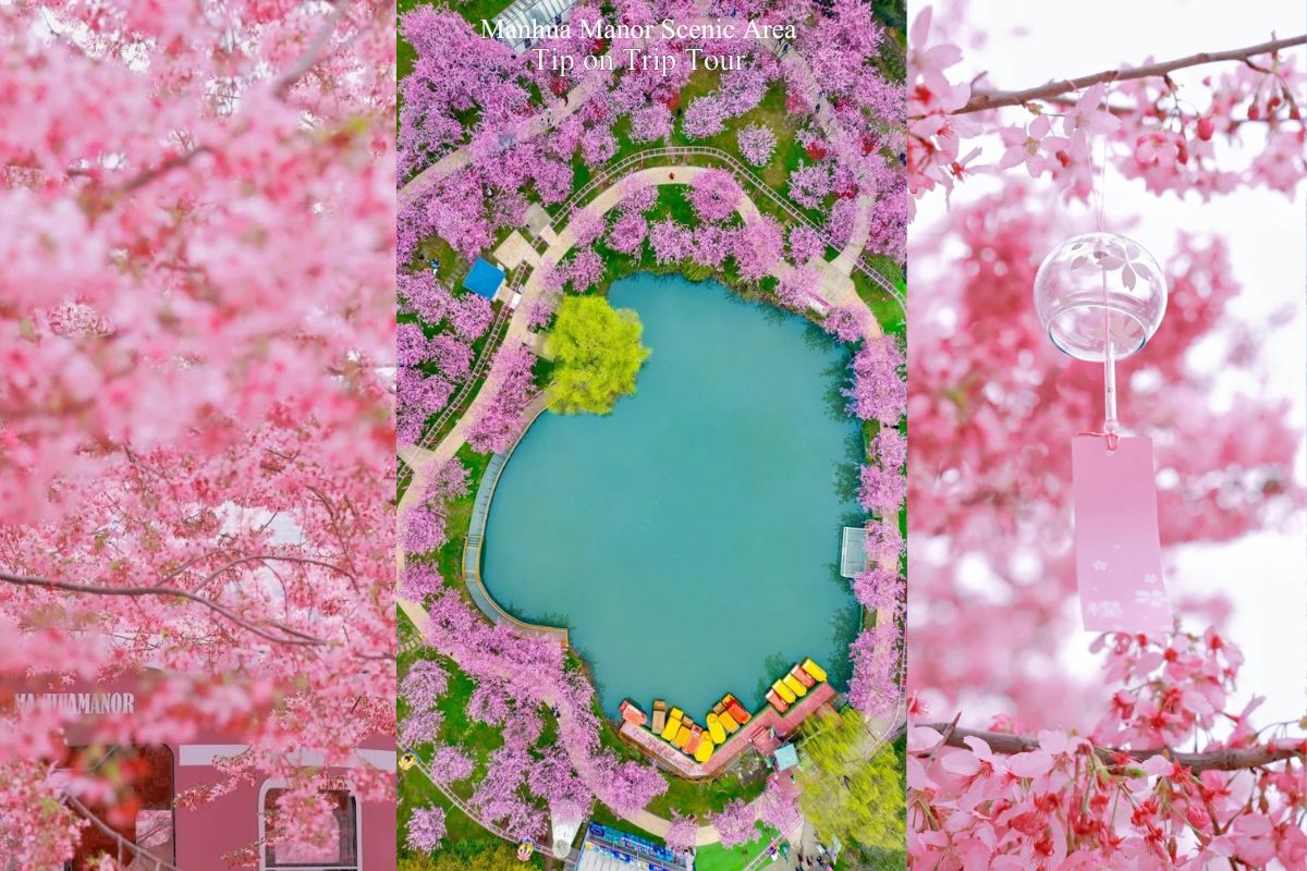 Manhua Manor Scenic Area