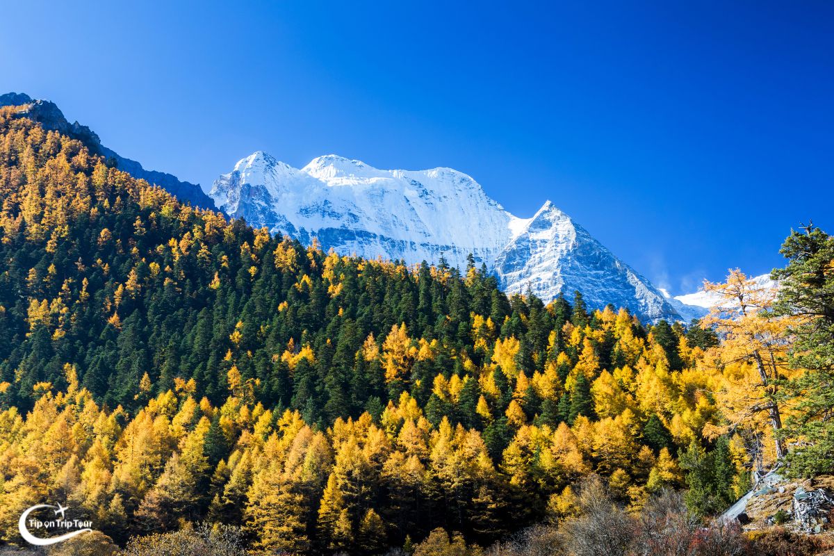 Yading Nature Reserve