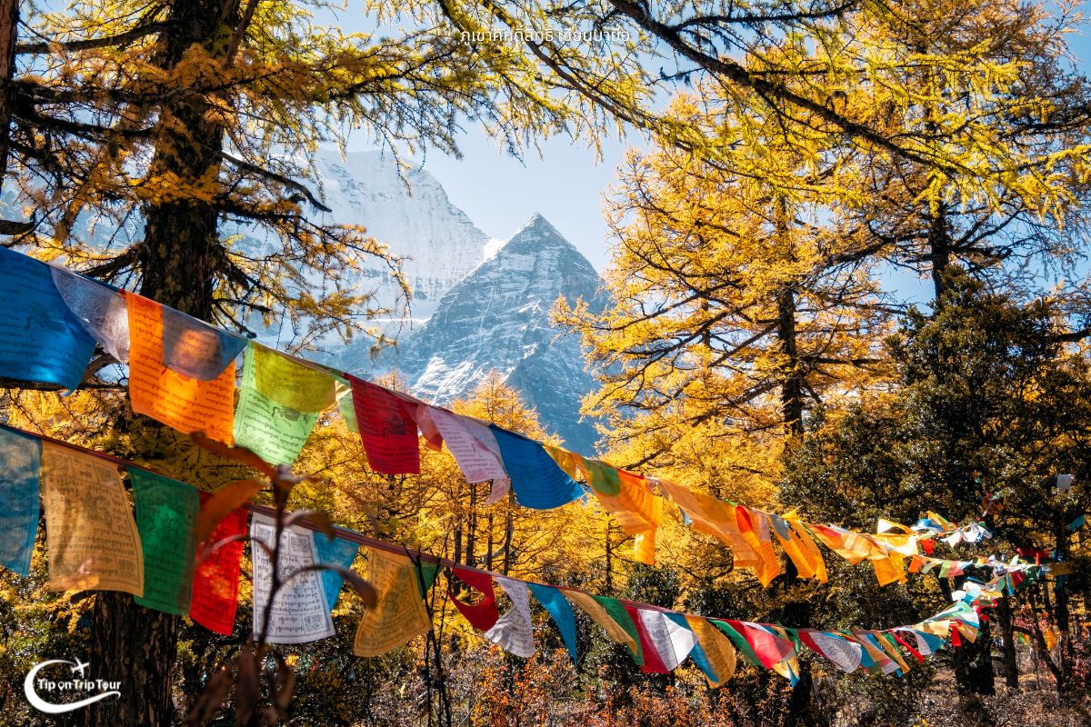 Yading Nature Reserve