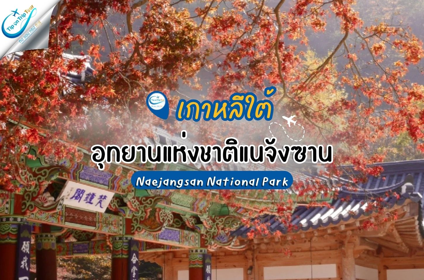 อุทยานแห่งชาติแนจังซาน (Naejangsan National Park) จากปูซาน จุดหมายชมใบไม้เปลี่ยนสีสุดอลังการของเกาหล