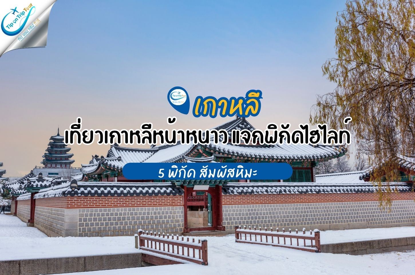 สถานที่เที่ยวเกาหลีหน้าหนาว 5 พิกัดห้ามพลาด สัมผัสหิมะ ฟินกับวิวสุดโรแมนติก