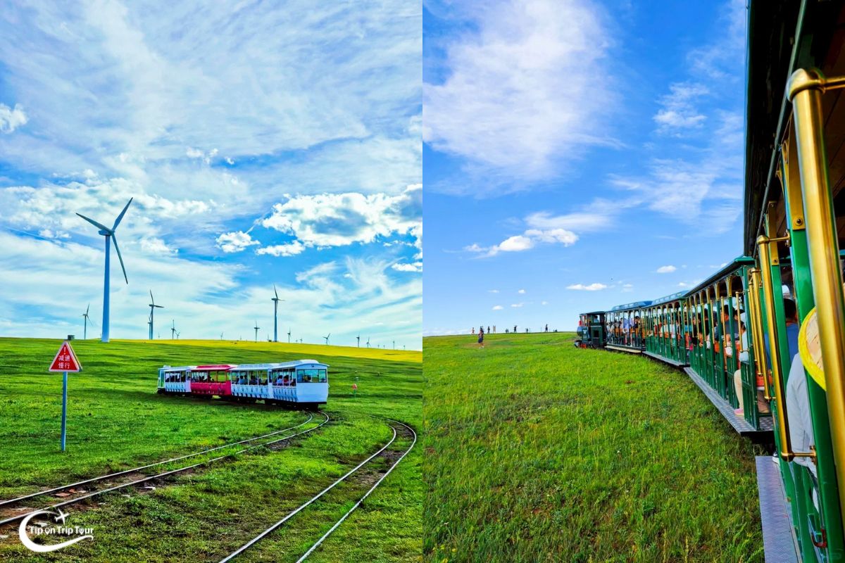 Ordos Grassland